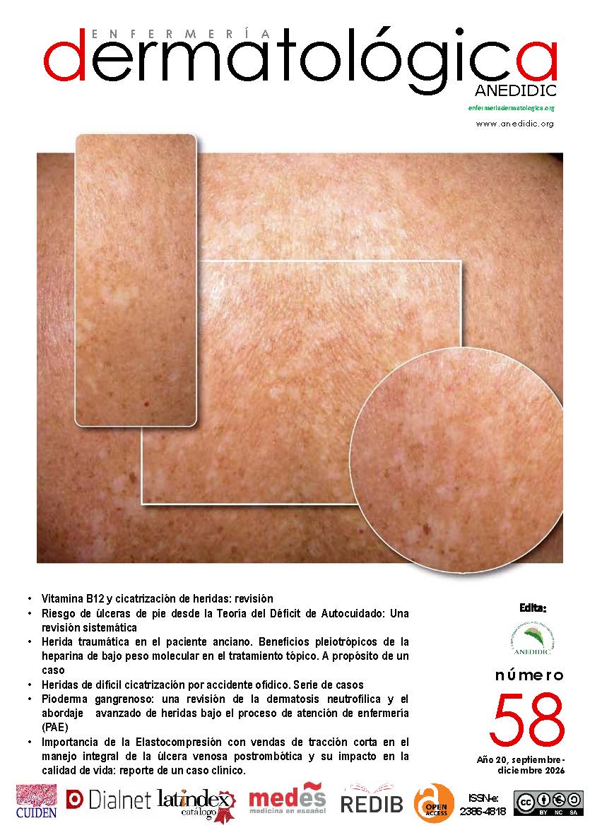 					Ver Vol. 20 Núm. 58 (2026): ENFERMERÍA DERMATOLÓGICA
				